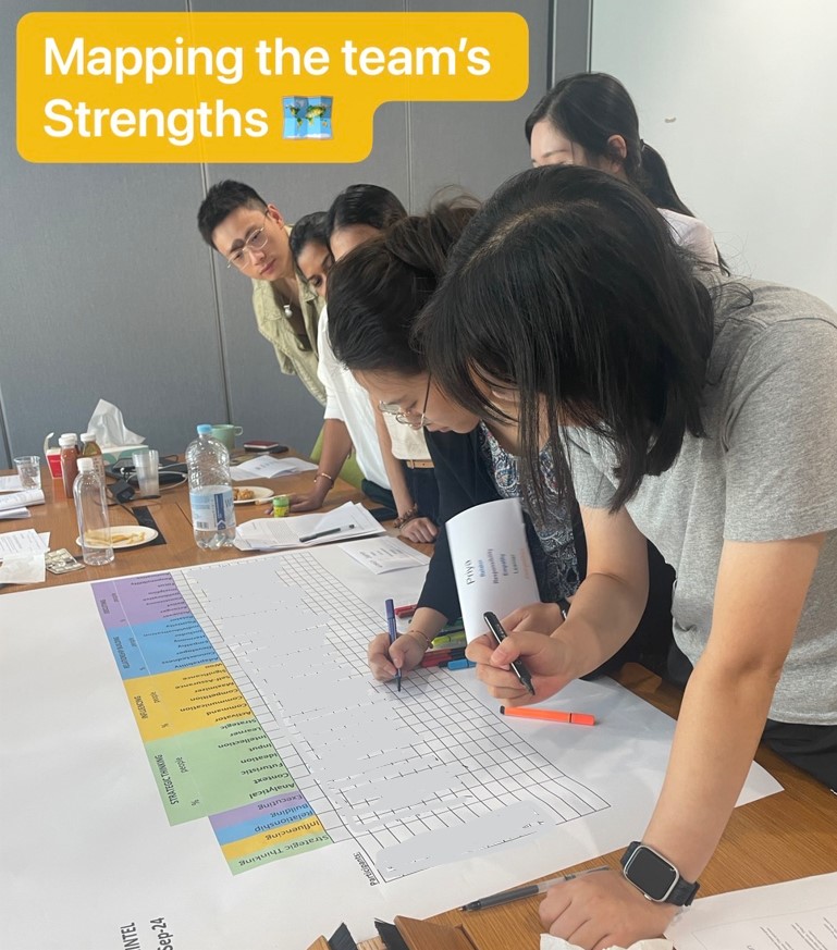 MIntel Team Strengths assessment Intandid II